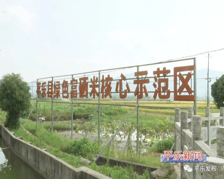 富硒大米生态健康（大米生态健康富硒含量）-硒宝网