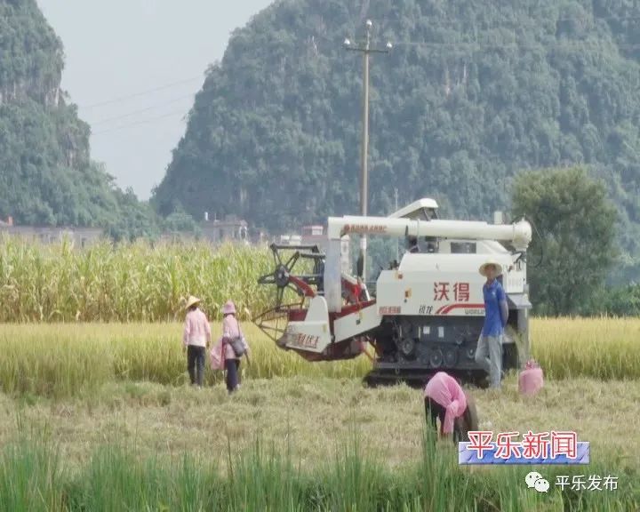 富硒大米生态健康（大米生态健康富硒含量）-硒宝网