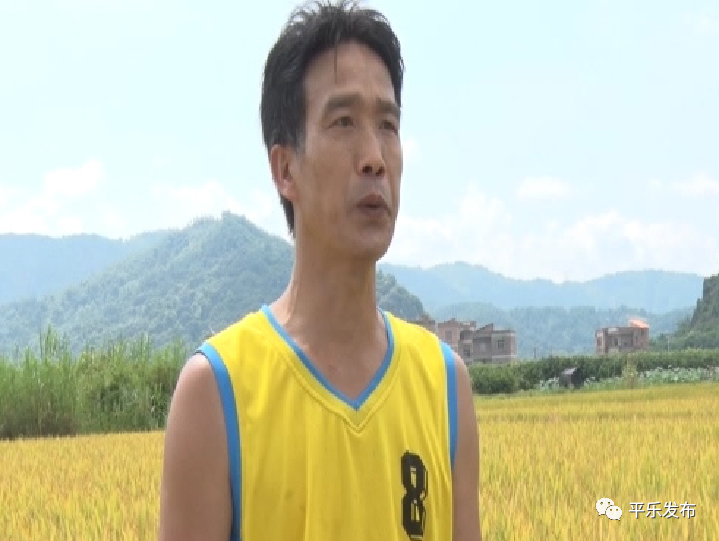 富硒大米生态健康（大米生态健康富硒含量）-硒宝网