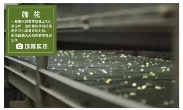 富硒大米生态健康（大米富硒标准）-硒宝网