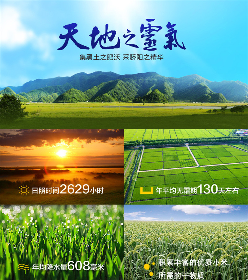 中国品牌富硒大米(最好的富硒大米产自哪里)-硒宝网