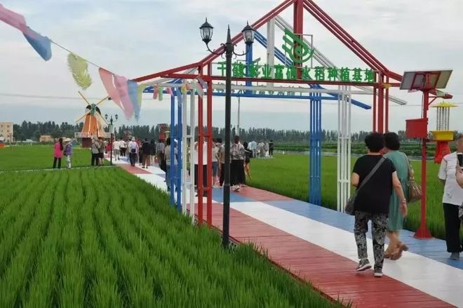 富硒大米种植合同(富硒大米种植成本)-硒宝网