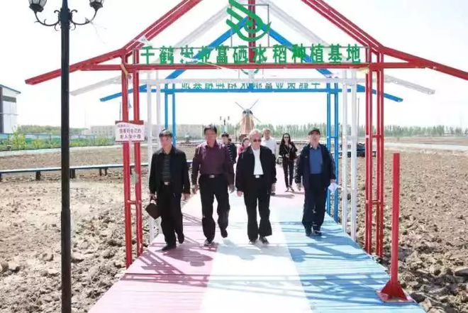 富硒大米种植合同(富硒大米种植成本)-硒宝网