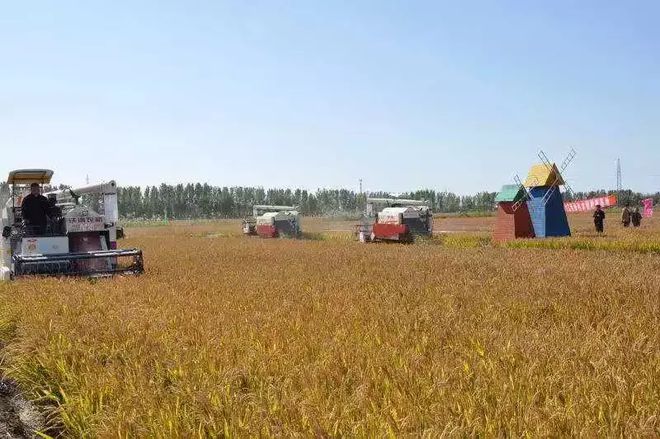 富硒大米种植合同(富硒大米种植成本)-硒宝网