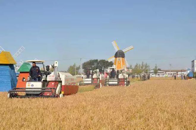 富硒大米种植合同(富硒大米种植成本)-硒宝网