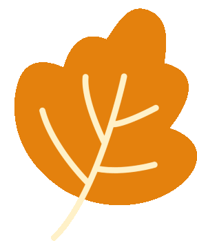 福建连城富硒大米(富硒优质大米)-硒宝网