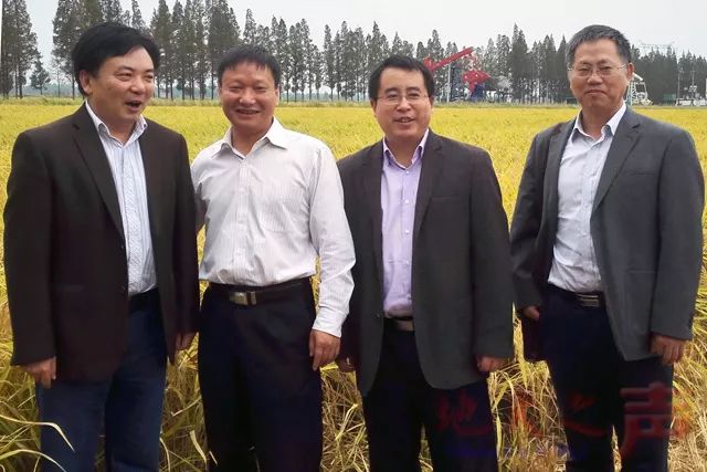 试种富硒大米视频(富硒大米种植)-硒宝网