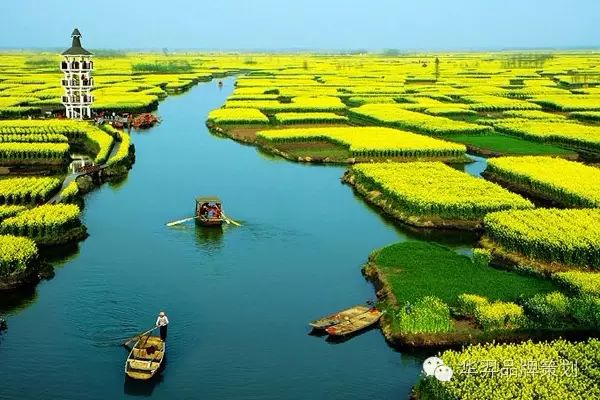 富硒大米买点文案(富硒大米广告词语)-硒宝网