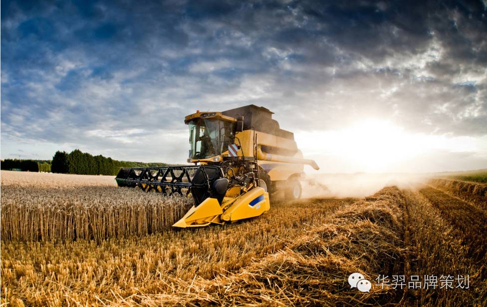 富硒大米买点文案(富硒大米广告词语)-硒宝网