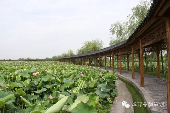 富硒大米买点文案(富硒大米广告词语)-硒宝网