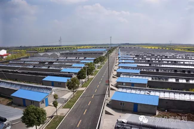 富硒大米买点文案(富硒大米广告词语)-硒宝网