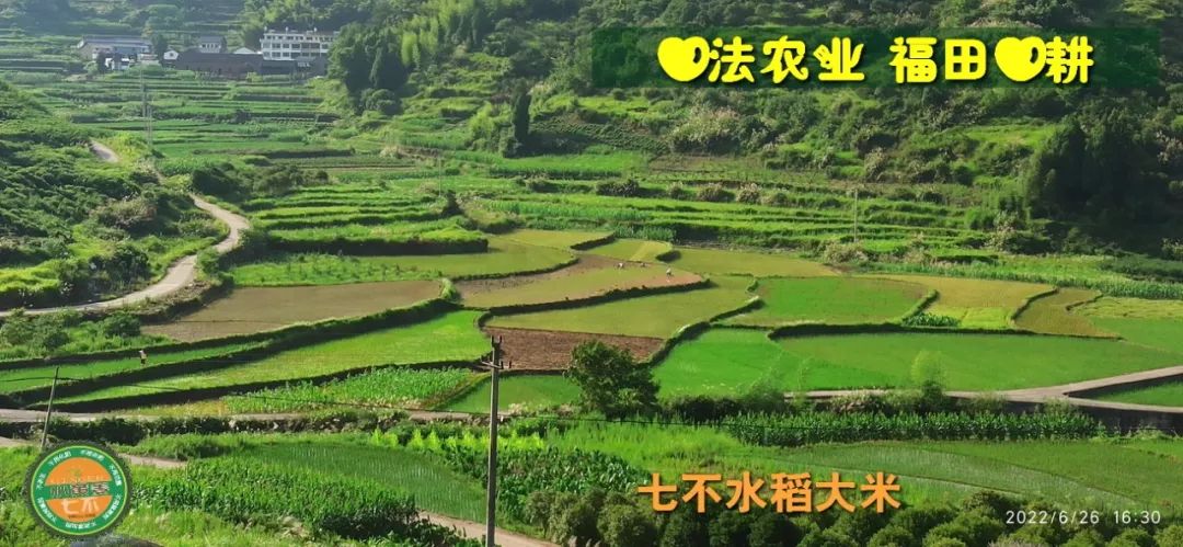 洋县土壤富硒大米(大米的富硒标准)-硒宝网