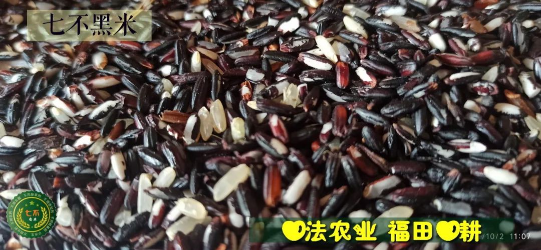 洋县土壤富硒大米(大米的富硒标准)-硒宝网