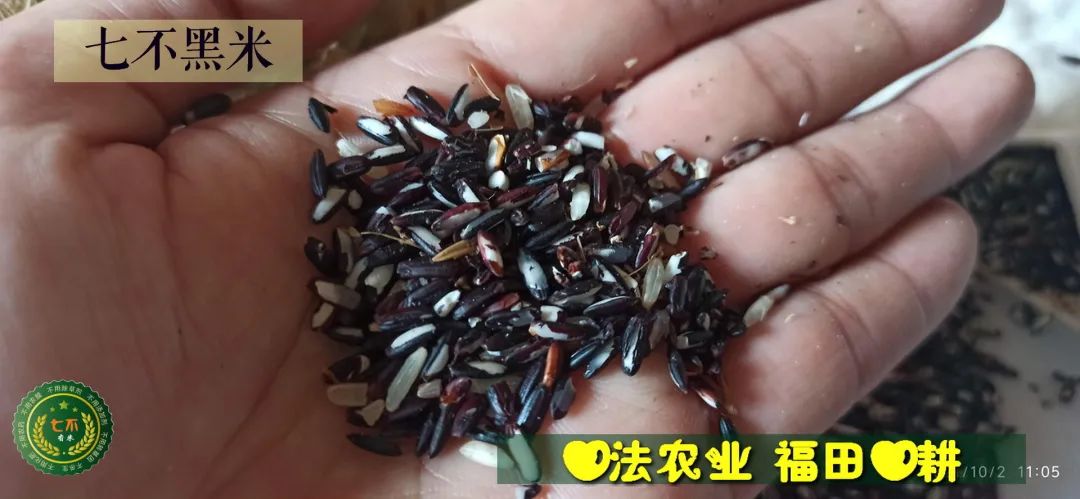 洋县土壤富硒大米(大米的富硒标准)-硒宝网