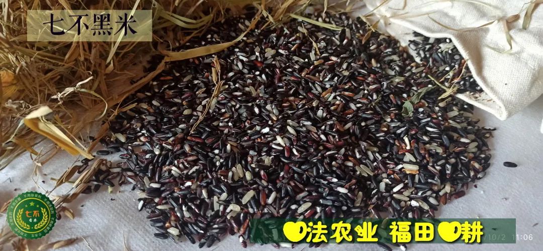 洋县土壤富硒大米(大米的富硒标准)-硒宝网