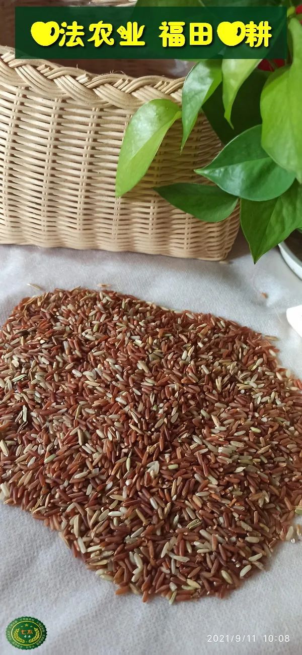 洋县土壤富硒大米(大米的富硒标准)-硒宝网