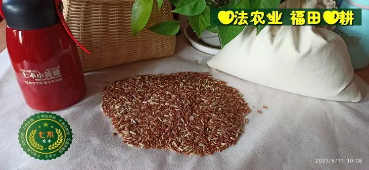 洋县土壤富硒大米(大米的富硒标准)-硒宝网