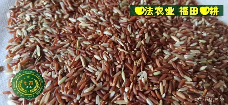 洋县土壤富硒大米(大米的富硒标准)-硒宝网