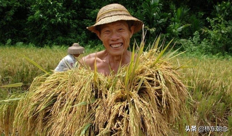 松原富硒大米好吗（大米松原富硒好吃吗）-硒宝网