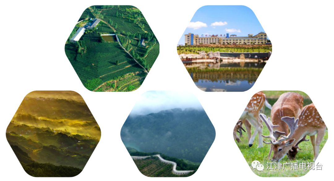 江津富硒大米基地(江津富硒米价格)-硒宝网