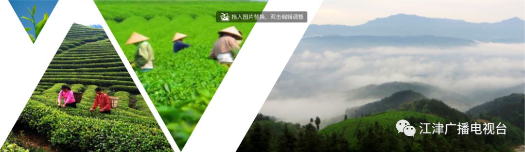 江津富硒大米基地(江津富硒米价格)-硒宝网