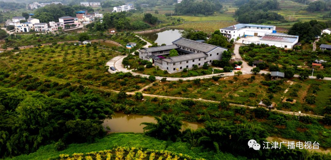 江津富硒大米基地(江津富硒米价格)-硒宝网