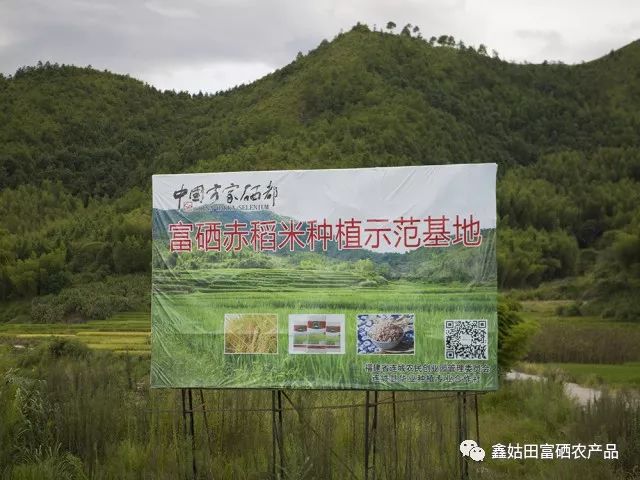 福建连城富硒大米(永福富硒大米)-硒宝网