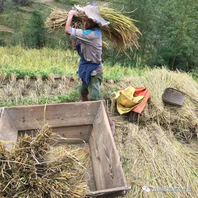 福建连城富硒大米(永福富硒大米)-硒宝网