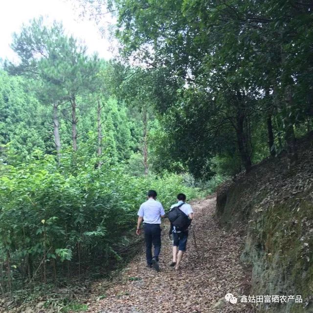 福建连城富硒大米(永福富硒大米)-硒宝网