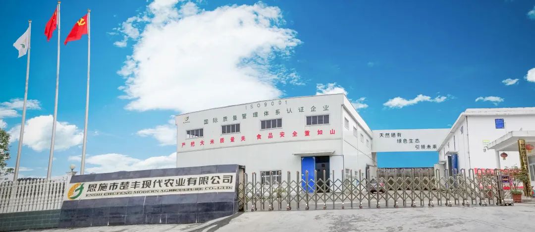 恩施富硒大米直播（湖北恩施富硒大米多少钱一斤）-硒宝网