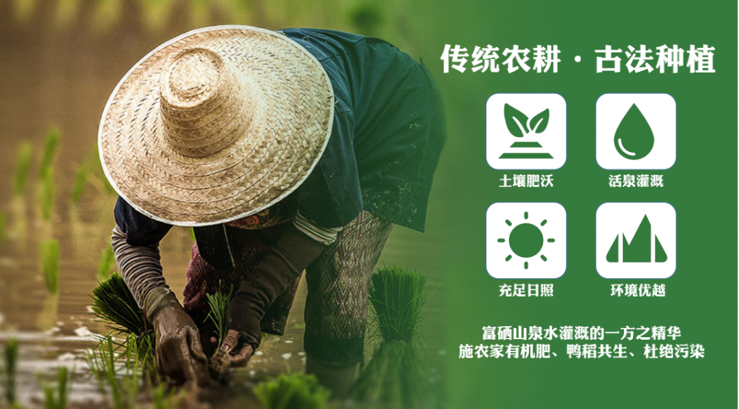 恩施富硒大米直播(恩施富硒米哪个品牌好)-硒宝网