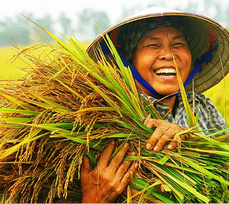 恩施富硒大米直播(恩施富硒米哪个品牌好)-硒宝网