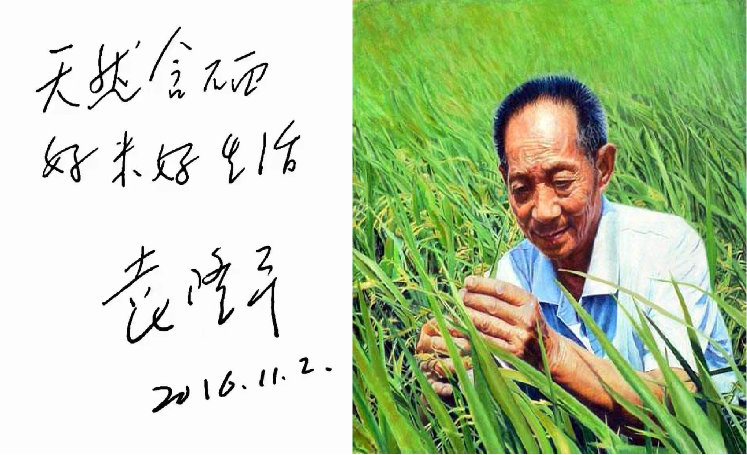 恩施富硒大米直播(恩施富硒米哪个品牌好)-硒宝网