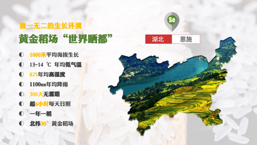 恩施富硒大米直播(恩施富硒米哪个品牌好)-硒宝网