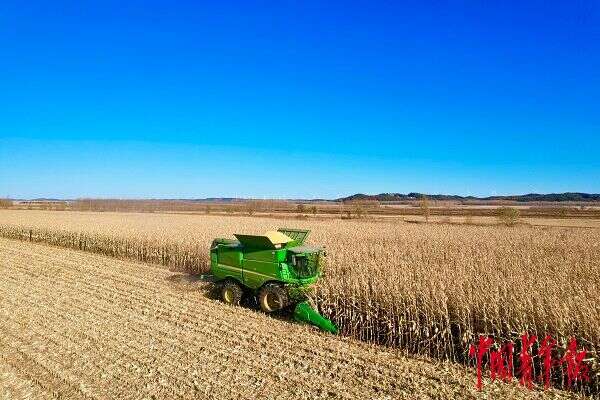 方正富硒大米介绍(方正大米富硒营养米价格)-硒宝网