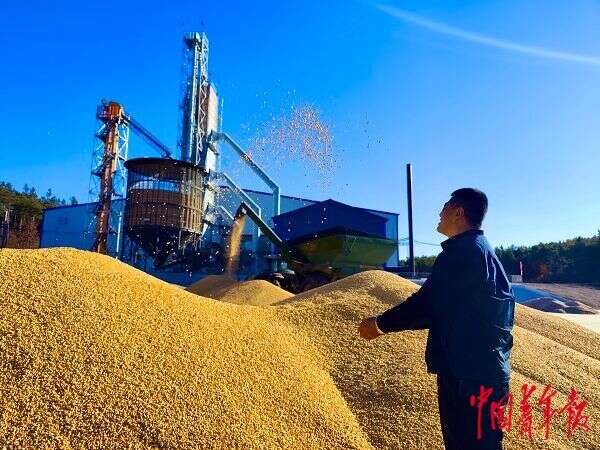 方正富硒大米介绍(方正大米富硒营养米价格)-硒宝网