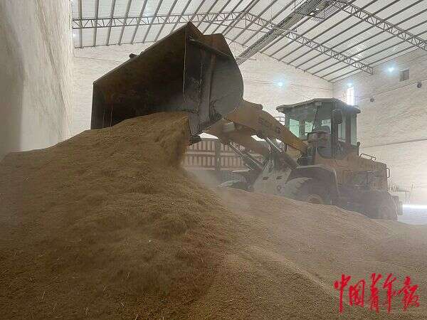 方正富硒大米介绍(方正大米富硒营养米价格)-硒宝网