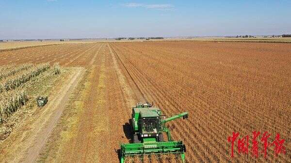 方正富硒大米介绍(方正大米富硒营养米价格)-硒宝网