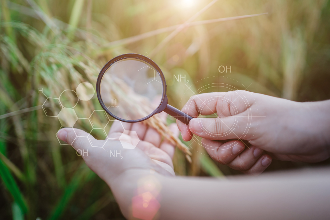 国际富硒大米标准（富硒大米的执行标准）-硒宝网