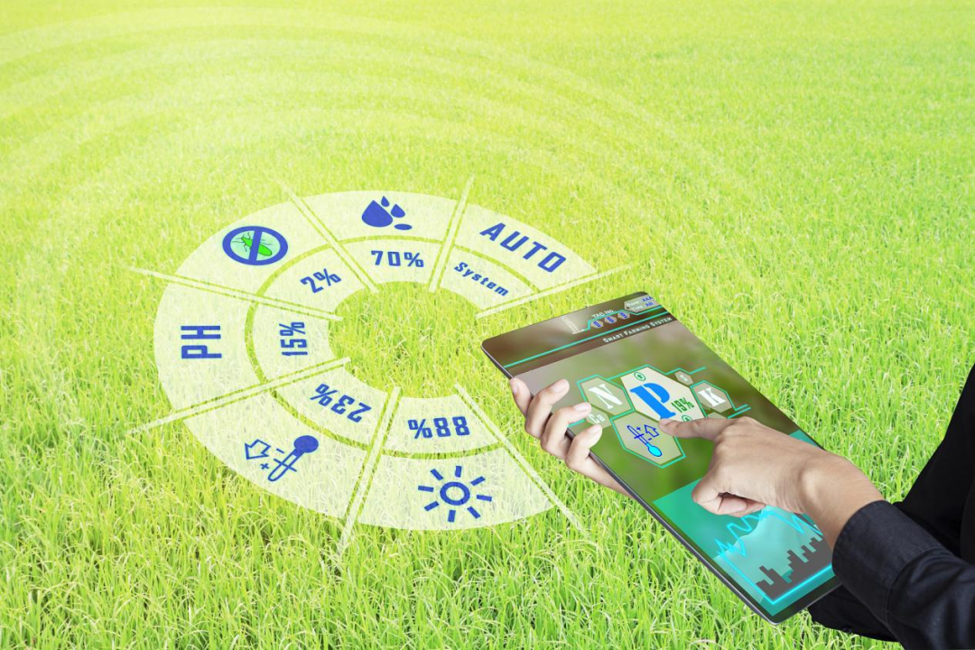 国际富硒大米标准（富硒大米的执行标准）-硒宝网