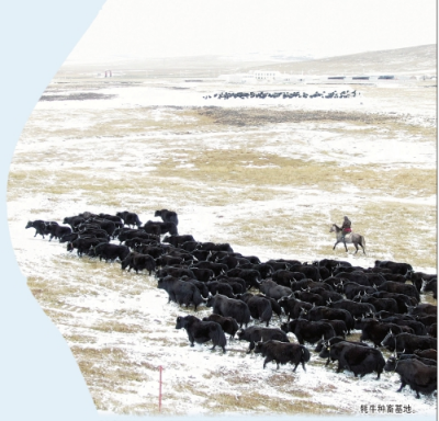 海西富硒大米产地（富硒大米的产地）-硒宝网