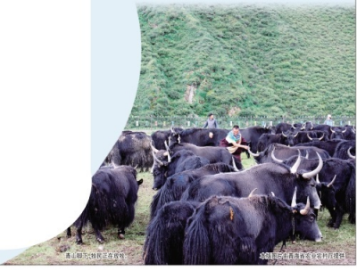 海西富硒大米产地（富硒大米的产地）-硒宝网