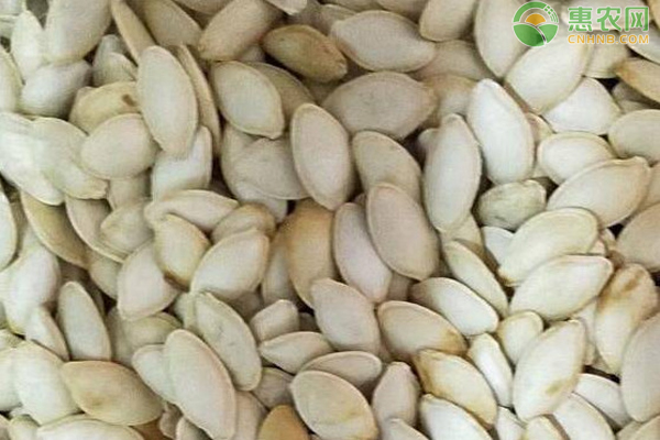 宝清富硒大米介绍（富硒大米营养表）-硒宝网