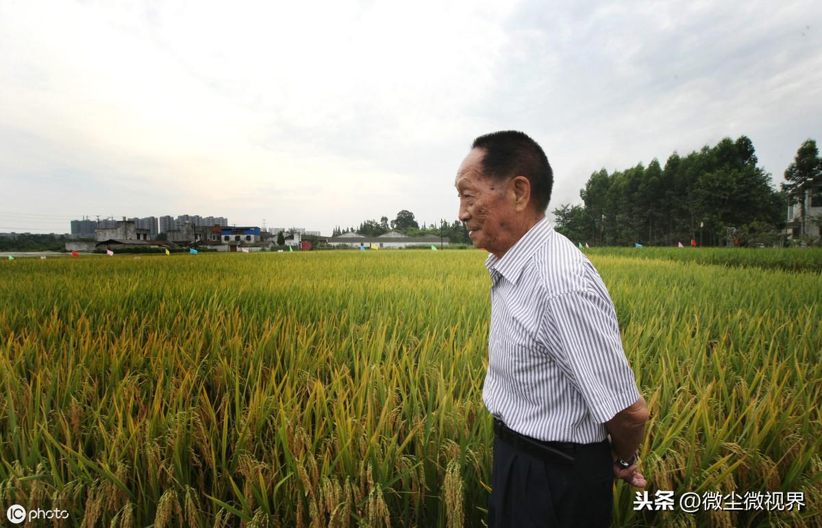 富硒大米怎样收费（富硒大米市场前景）-硒宝网