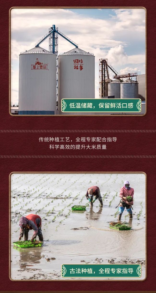 富硒大米种植方法(富硒大米怎么种)-硒宝网