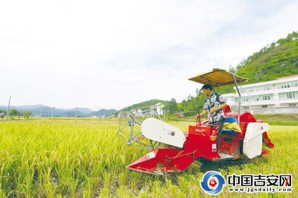 富硒大米种植合同（大米合作合同）-硒宝网