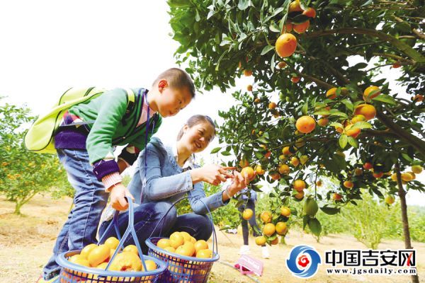 富硒大米种植合同（大米合作合同）-硒宝网