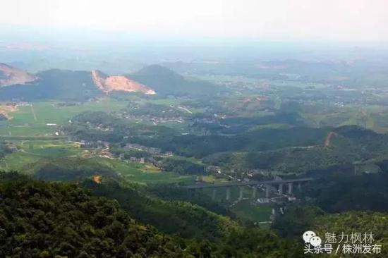 枫林铺子富硒大米(富硒大米)-硒宝网