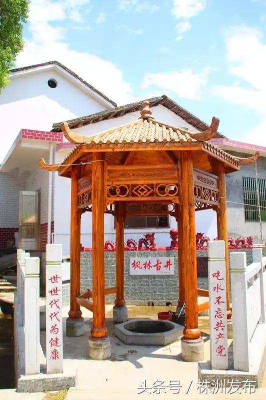 枫林铺子富硒大米(富硒大米)-硒宝网