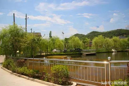 枫林铺子富硒大米(富硒大米)-硒宝网